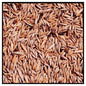 IMPORTED SEEDS GIANT DRAGON ON BAMBOO SEEDS