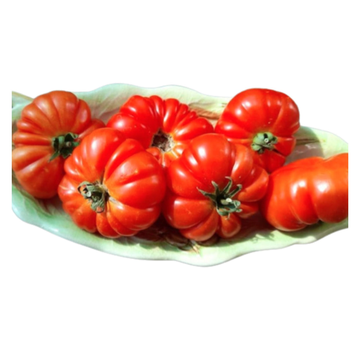 Golden Hills Farm Red Beefsteak Tomato seeds