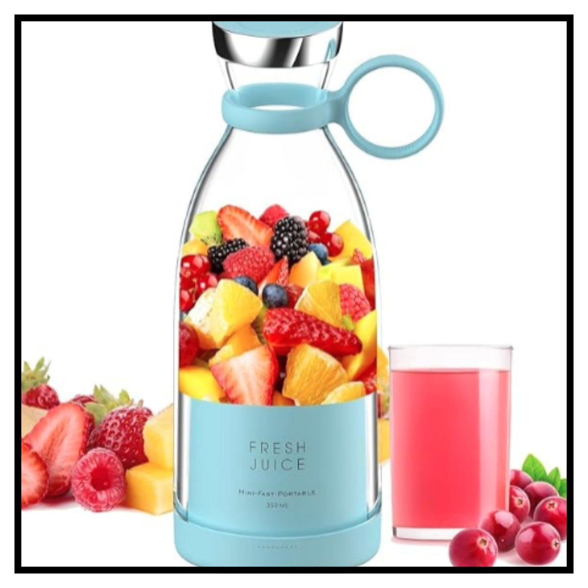 Mini Juicer