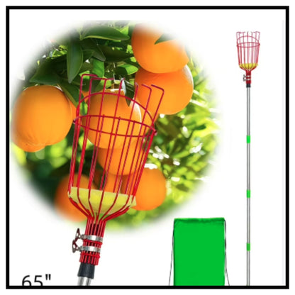 Fruit Picker Tool