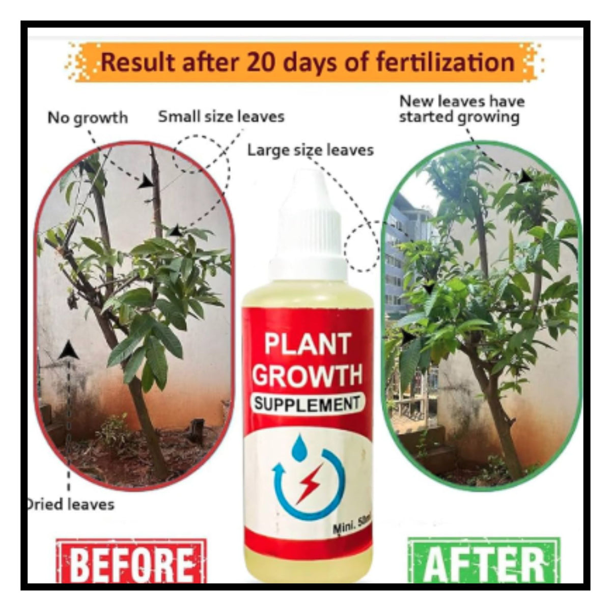 Plant Growth Supplement Pack of one