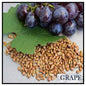 Grape Seeds Our Seeds are rich in antioxidants
