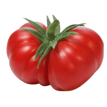 Golden Hills Farm Red Beefsteak Tomato seeds