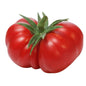 Golden Hills Farm Red Beefsteak Tomato seeds