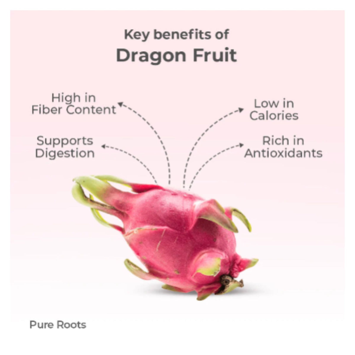 DRAGON Fruit Plant Seeds For outdoor and indoor planting