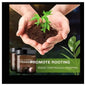 Soil Active Treasure Fertilizer | Potting Mix Soil for Plants ( Pack Of 2 )