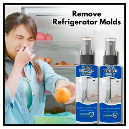 Mold Remover Spray