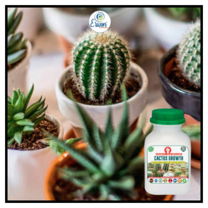 Cactus Fruit Seeds pack of 1 with Plant Growth Supplement