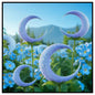 IMPORTED SEEDS FLOR DE LUNA QIUYING SEEDS