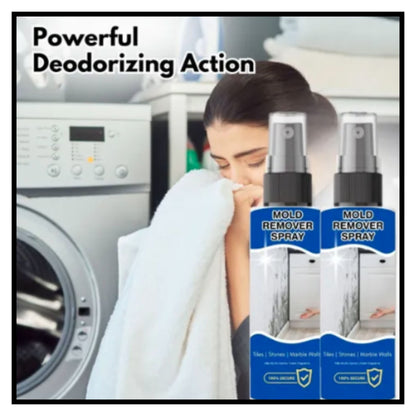 Mold Remover Spray