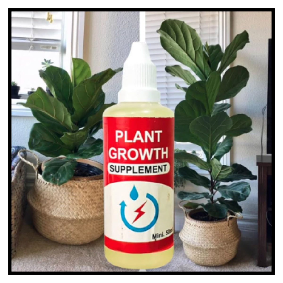 Plant Growth Supplement Pack of one