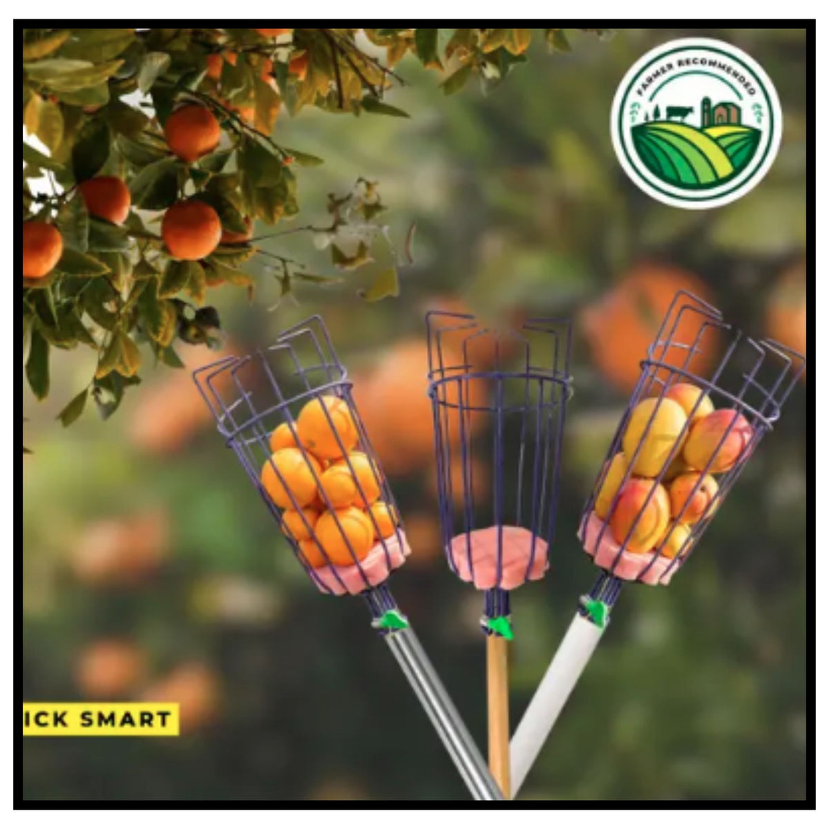 Fruit Picker Tool