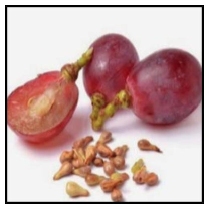 Grape Seeds Our Seeds are rich in antioxidants