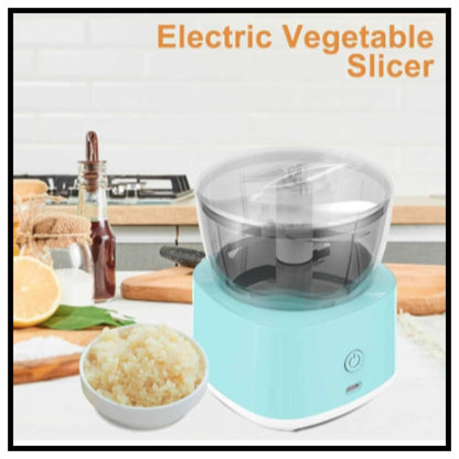 Mini Electric Food Chopper