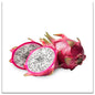 DRAGON Fruit Plant Seeds For outdoor and indoor planting