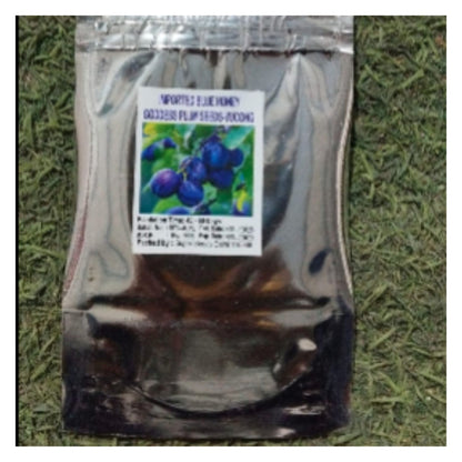 Blue Honey Goddess Plum Seeds | Sweet and Delicious