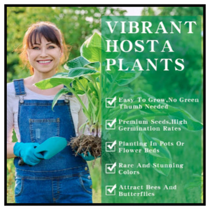 Mixed Hosta Seeds for Planting Outdoors