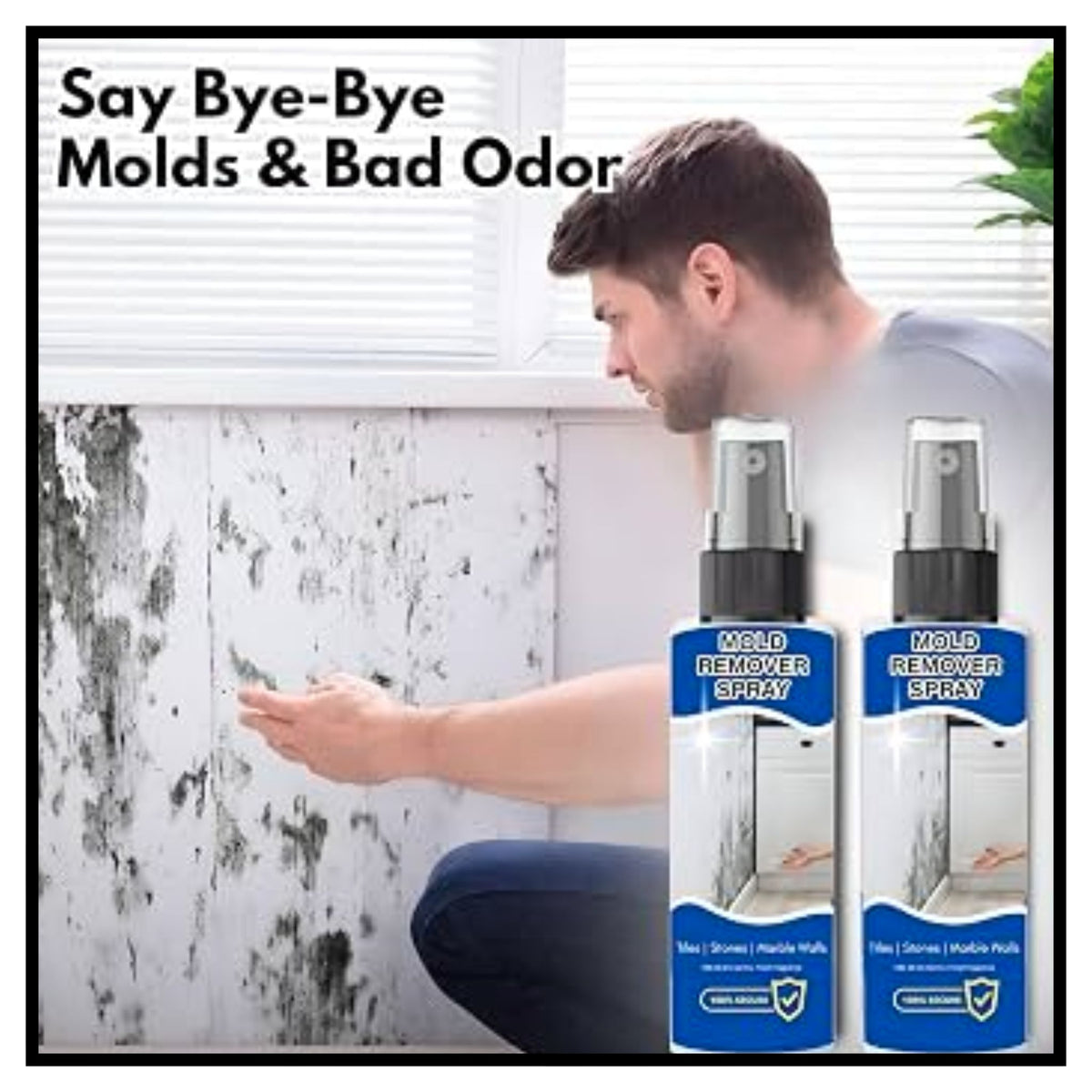 Mold Remover Spray