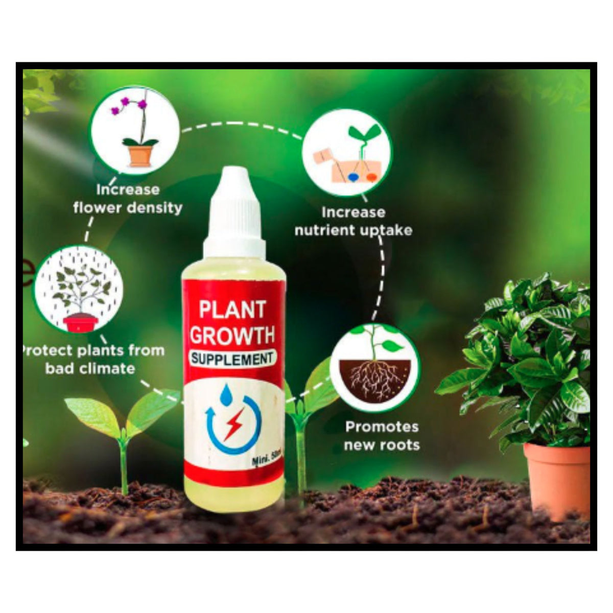 Plant Growth Supplement Pack of one