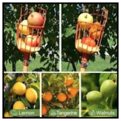 Fruit Picker Tool