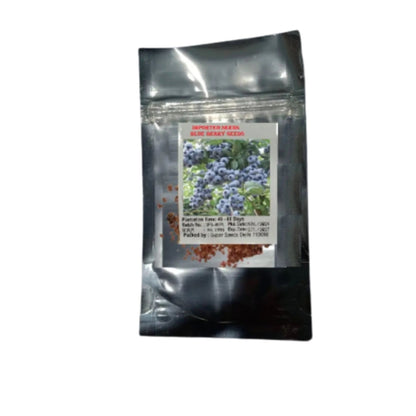 Rare Hybrid Bush Blueberry Fruit Live Plant seeds