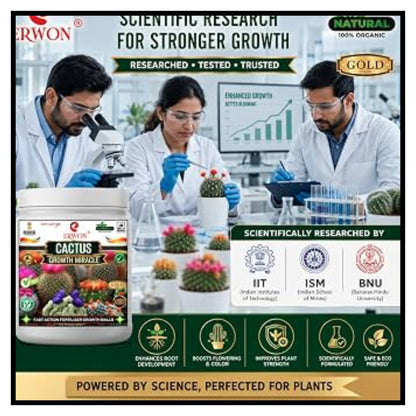 Cactus Fruit Seeds pack of 1 with Plant Growth Supplement