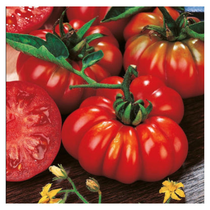 Golden Hills Farm Red Beefsteak Tomato seeds