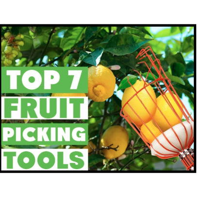 Fruit Picker Tool