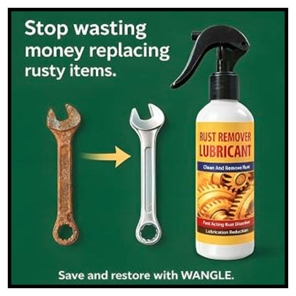 Rust Remover Spray (Pack of 2)