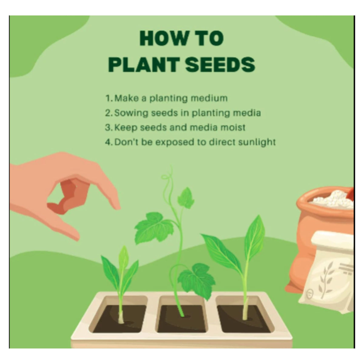 Golden Hills Farm Hybrid Watermelon Fruit Seeds