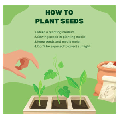 Golden Hills Farm Hybrid Watermelon Fruit Seeds