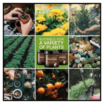 Soil Active Treasure Fertilizer | Potting Mix Soil for Plants ( Pack Of 2 )