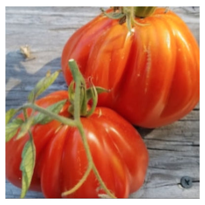 Golden Hills Farm Red Beefsteak Tomato seeds