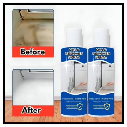 Mold Remover Spray