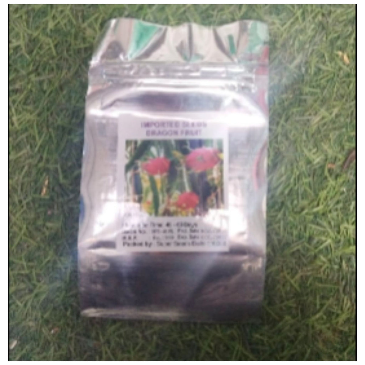 DRAGON Fruit Plant Seeds For outdoor and indoor planting
