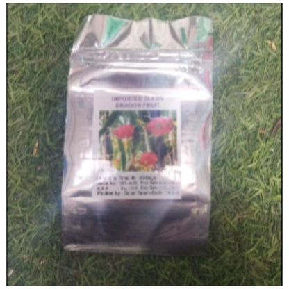 DRAGON Fruit Plant Seeds For outdoor and indoor planting