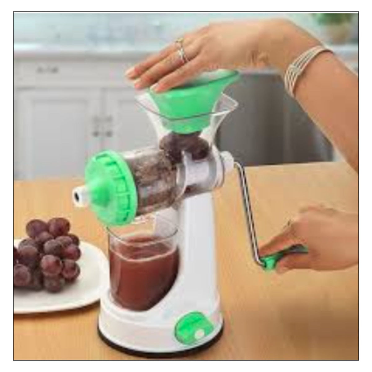 Automatic Fruit Slow Press Juicer