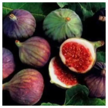 Fresh Purple Figs Cut Open Showing Red Pink Interior on Black Background