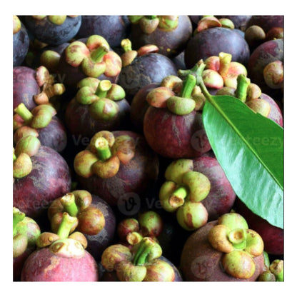 Fresh Purple Mangosteen Fruits Pile with Green Leaf - Exotic Tropical Fruit