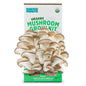 Back to the Roots Organic Mushroom Grow Kit with Oyster Mushrooms Growing