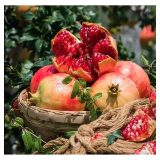 Fresh Whole and Halved Pomegranates in Basket with Red Seeds Juicy