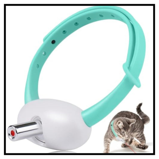A pet collar toy featuring a mint green silicone strap and a white spherical body with a silver metal rod shown with a small tabby kitten wearing a matching mint green collar on a white background