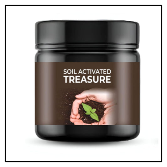 Soil active treasure fertilizer potting mix soil for plants pack of 2 jar